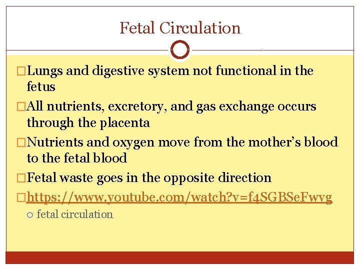 Fetal Circulation �Lungs and digestive system not functional in the fetus �All nutrients, excretory,