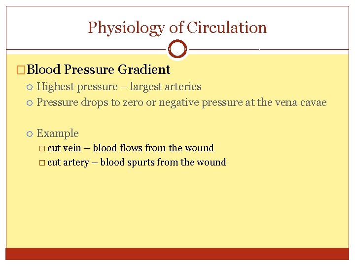 Physiology of Circulation �Blood Pressure Gradient Highest pressure – largest arteries Pressure drops to