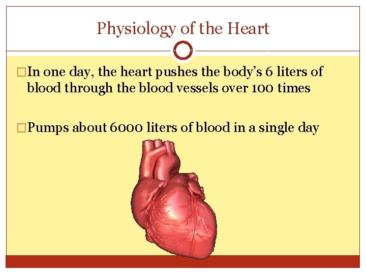 Physiology of the Heart �In one day, the heart pushes the body’s 6 liters