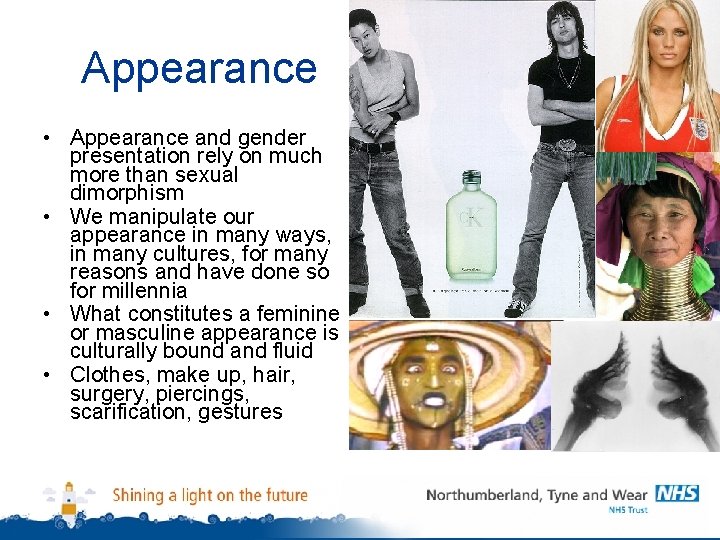 Appearance • Appearance and gender presentation rely on much more than sexual dimorphism •