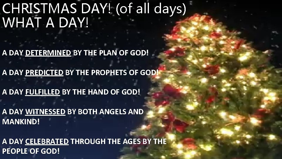 CHRISTMAS DAY! (of all days) WHAT A DAY! A DAY DETERMINED BY THE PLAN