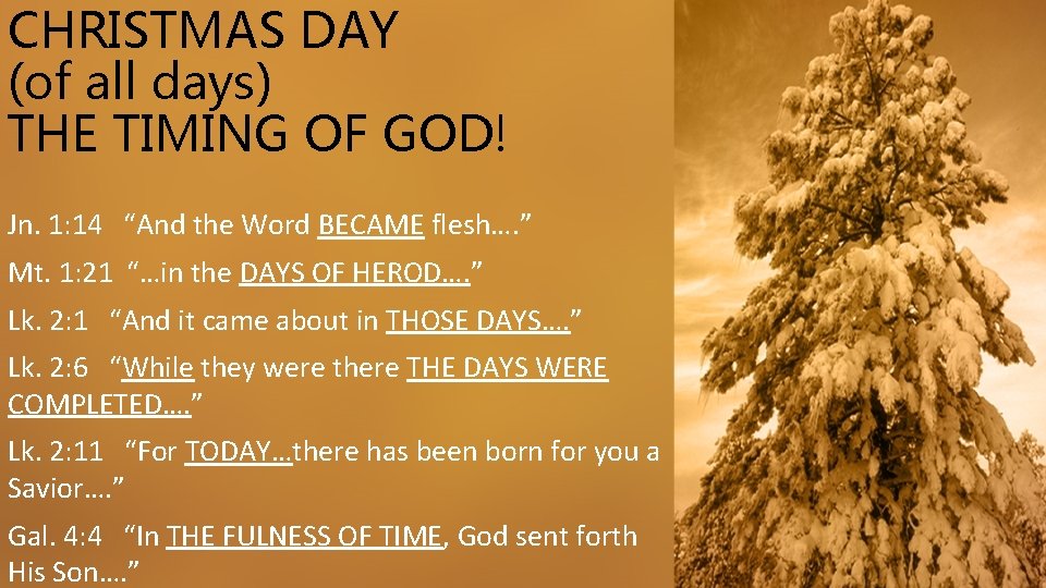 CHRISTMAS DAY (of all days) THE TIMING OF GOD! Jn. 1: 14 “And the