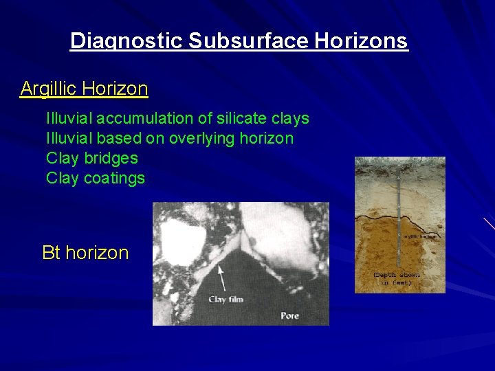 Diagnostic Subsurface Horizons Argillic Horizon Illuvial accumulation of silicate clays Illuvial based on overlying