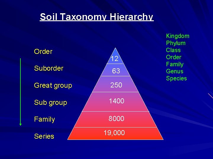Soil Taxonomy Hierarchy Order 12 Suborder 63 Great group 250 Sub group 1400 Family