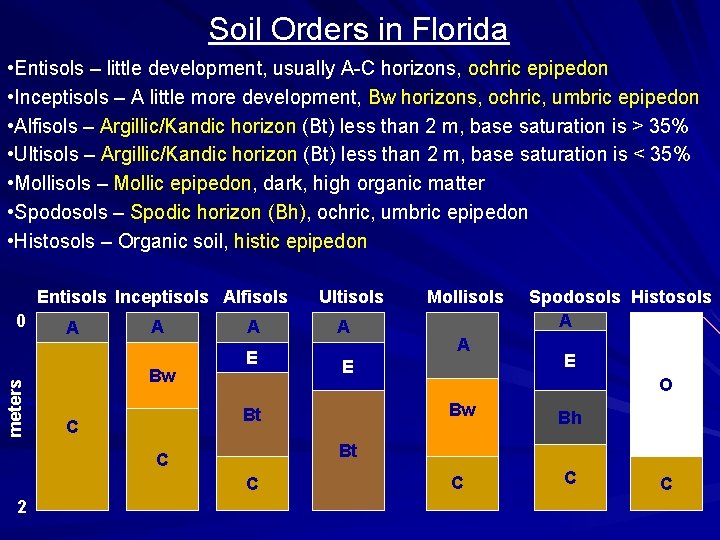 Soil Orders in Florida • Entisols – little development, usually A-C horizons, ochric epipedon