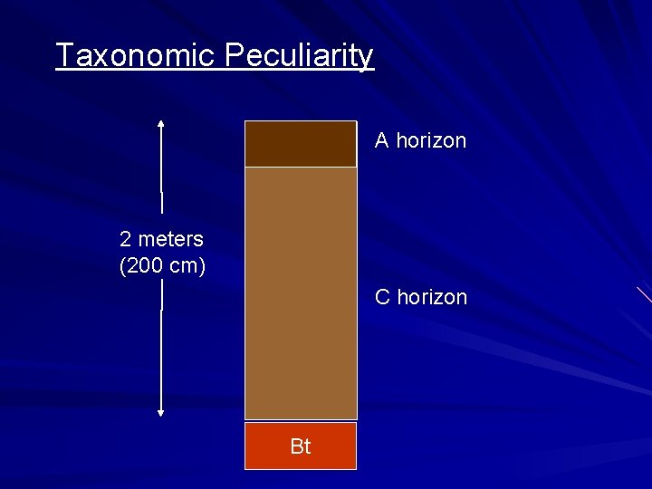 Taxonomic Peculiarity A horizon 2 meters (200 cm) C horizon Bt 