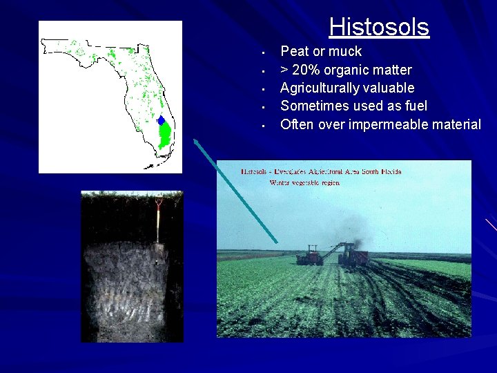 Histosols • • • Peat or muck > 20% organic matter Agriculturally valuable Sometimes