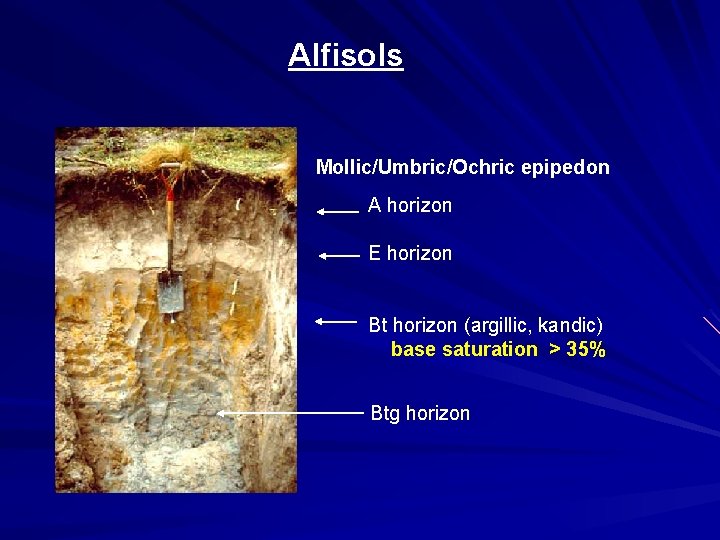 Alfisols Mollic/Umbric/Ochric epipedon A horizon E horizon Bt horizon (argillic, kandic) base saturation >