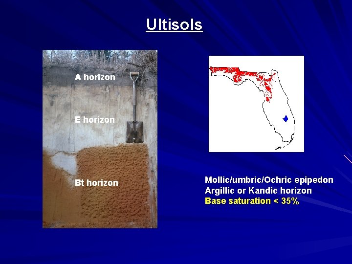 Ultisols A horizon E horizon Bt horizon Mollic/umbric/Ochric epipedon Argillic or Kandic horizon Base