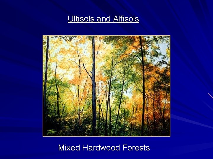 Ultisols and Alfisols Mixed Hardwood Forests 