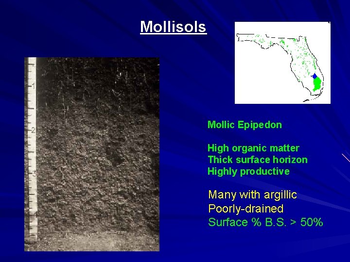 Mollisols Mollic Epipedon High organic matter Thick surface horizon Highly productive Many with argillic