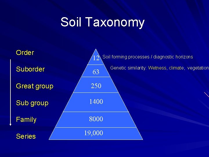 Soil Taxonomy Order 12 Soil forming processes / diagnostic horizons Suborder 63 Great group