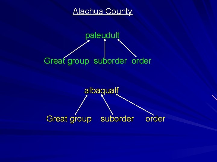 Alachua County paleudult Great group suborder albaqualf Great group suborder 