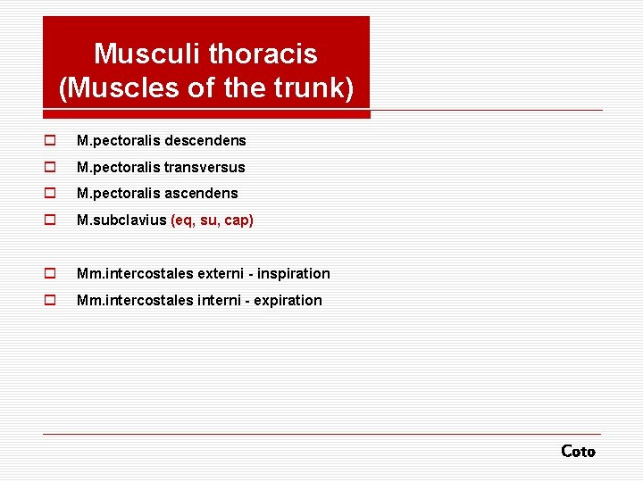 Musculi thoracis (Muscles of the trunk) o M. pectoralis descendens o M. pectoralis transversus