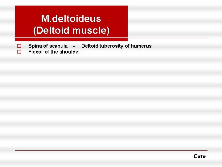 M. deltoideus (Deltoid muscle) o o Spina of scapula - Deltoid tuberosity of humerus