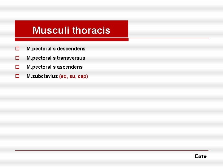 Musculi thoracis o M. pectoralis descendens o M. pectoralis transversus o M. pectoralis ascendens