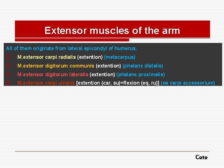 Extensor muscles of the arm All of them originate from lateral epicondyl of humerus.