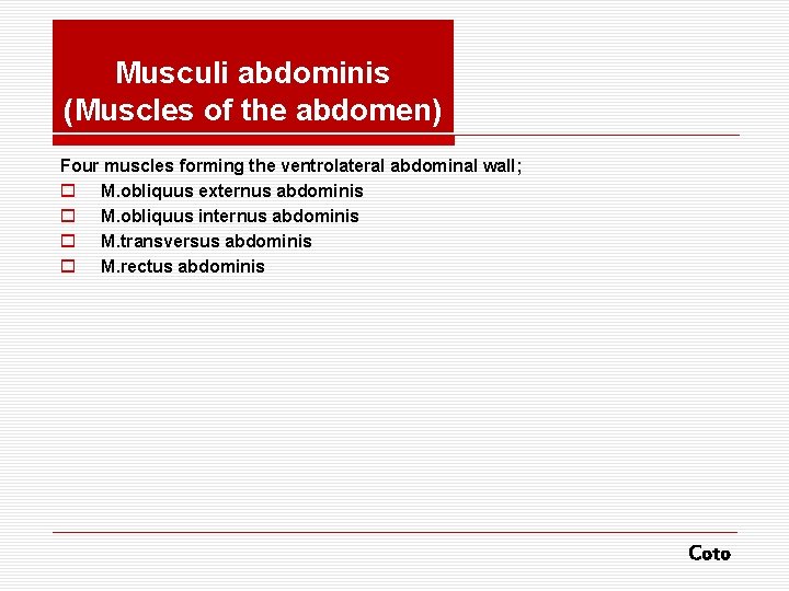 Musculi abdominis (Muscles of the abdomen) Four muscles forming the ventrolateral abdominal wall; o