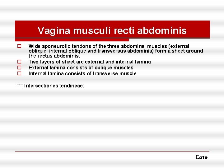 Vagina musculi recti abdominis o o Wide aponeurotic tendons of the three abdominal muscles