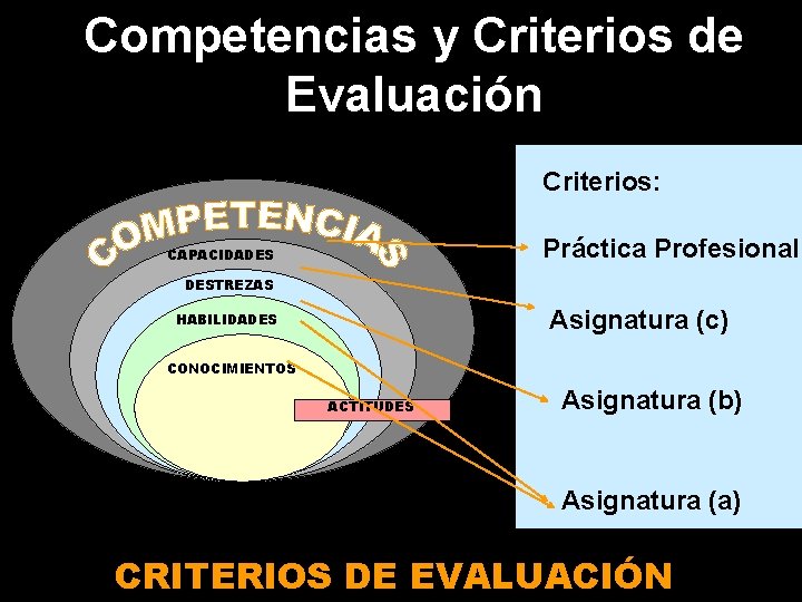 Competencias y Criterios de Evaluación Criterios: Práctica Profesional CAPACIDADES DESTREZAS Asignatura (c) HABILIDADES CONOCIMIENTOS