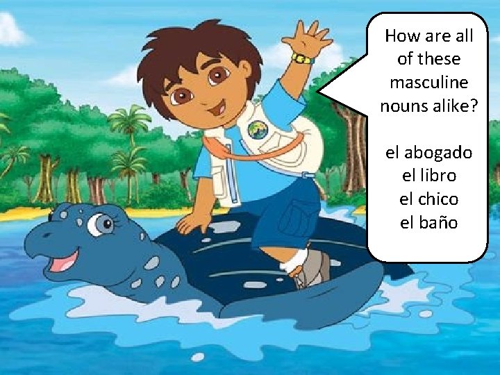 How are all of these masculine nouns alike? el abogado el libro el chico