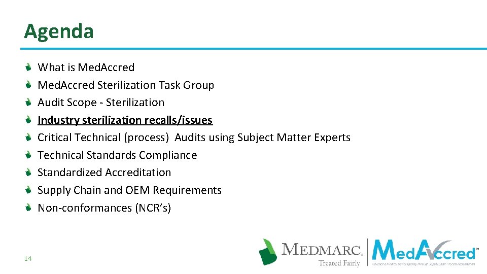 Agenda What is Med. Accred Sterilization Task Group Audit Scope - Sterilization Industry sterilization