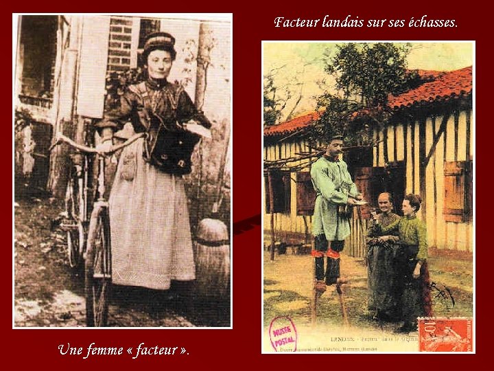 Facteur landais sur ses échasses. Une femme « facteur » . 