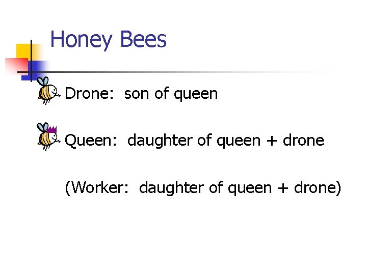 Honey Bees Drone: son of queen Queen: daughter of queen + drone (Worker: daughter