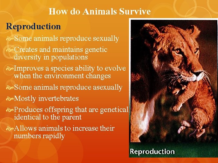 How do Animals Survive Reproduction Some animals reproduce sexually Creates and maintains genetic diversity