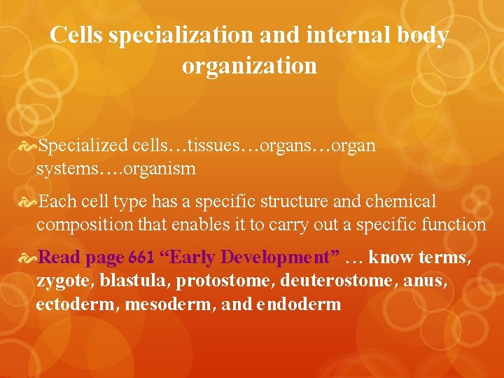 Cells specialization and internal body organization Specialized cells…tissues…organ systems…. organism Each cell type has