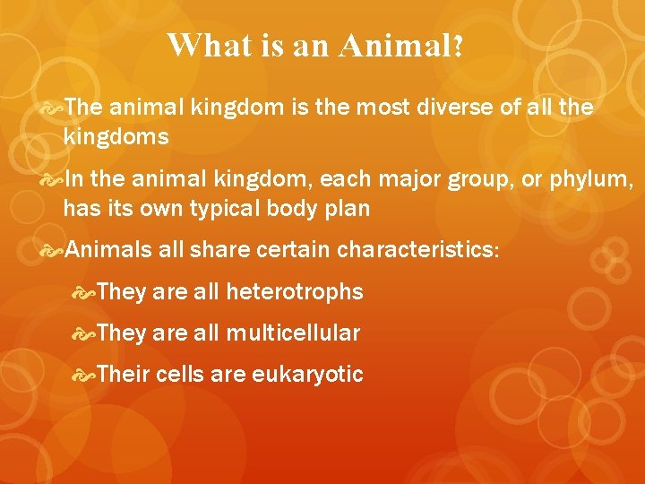 What is an Animal? The animal kingdom is the most diverse of all the
