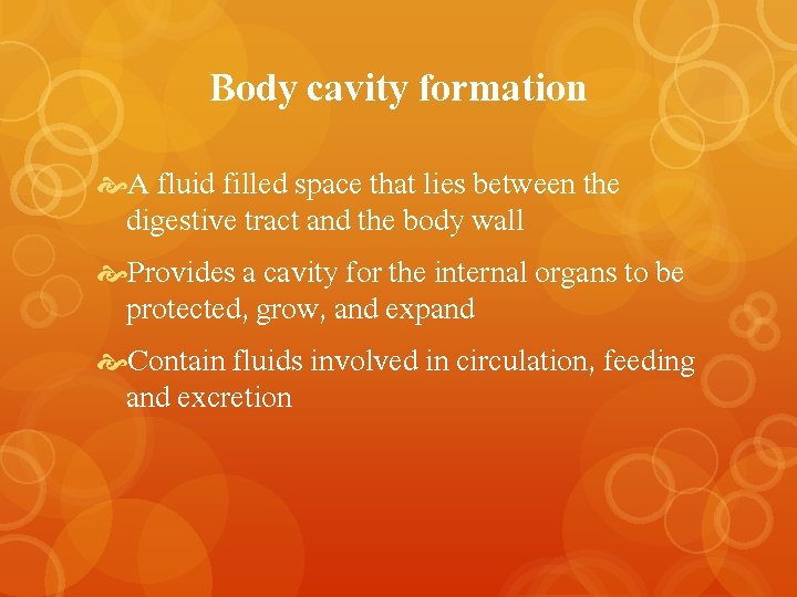 Body cavity formation A fluid filled space that lies between the digestive tract and