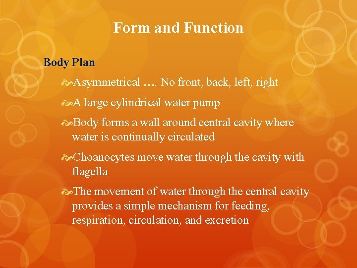 Form and Function Body Plan Asymmetrical …. No front, back, left, right A large