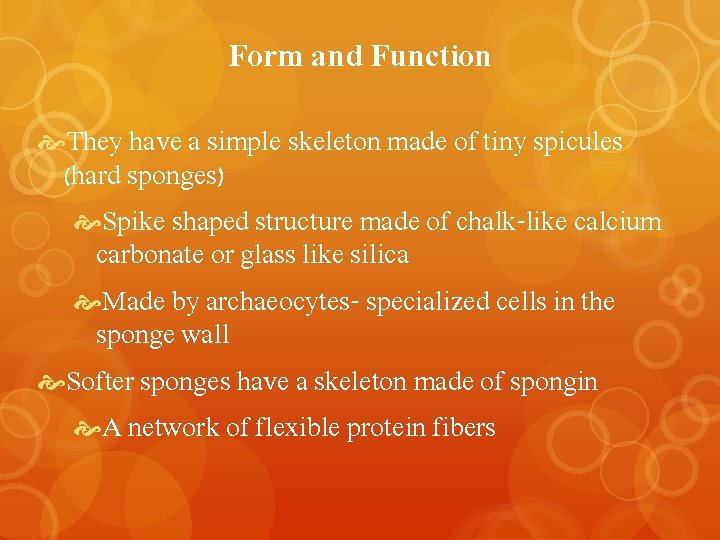 Form and Function They have a simple skeleton made of tiny spicules (hard sponges)