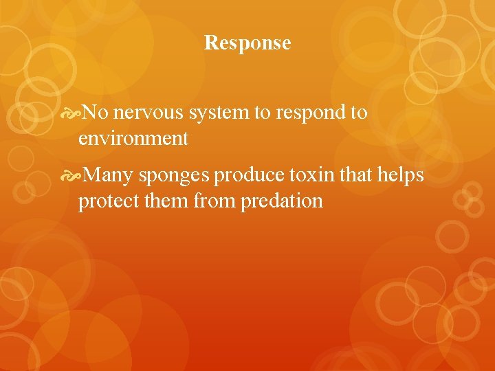 Response No nervous system to respond to environment Many sponges produce toxin that helps