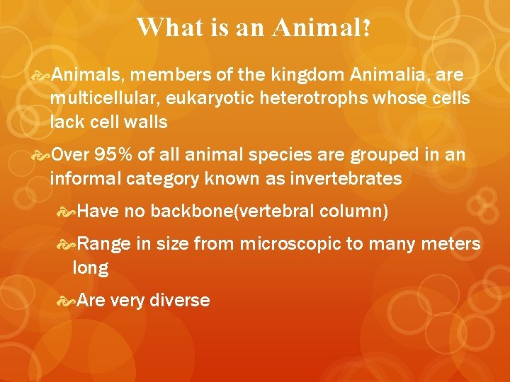 What is an Animal? Animals, members of the kingdom Animalia, are multicellular, eukaryotic heterotrophs