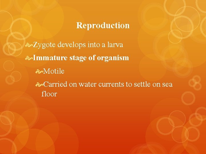 Reproduction Zygote develops into a larva Immature stage of organism Motile Carried on water