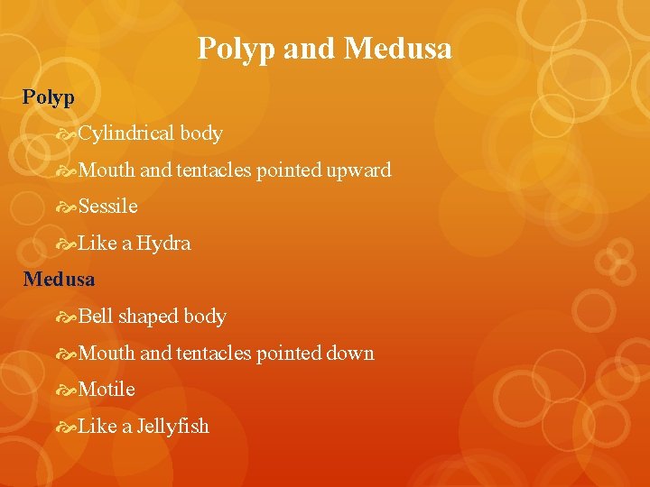 Polyp and Medusa Polyp Cylindrical body Mouth and tentacles pointed upward Sessile Like a
