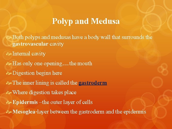 Polyp and Medusa Both polyps and medusas have a body wall that surrounds the