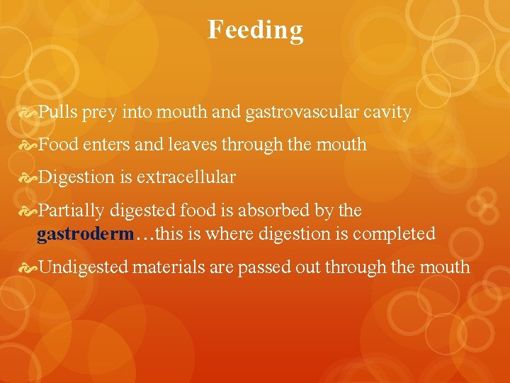 Feeding Pulls prey into mouth and gastrovascular cavity Food enters and leaves through the