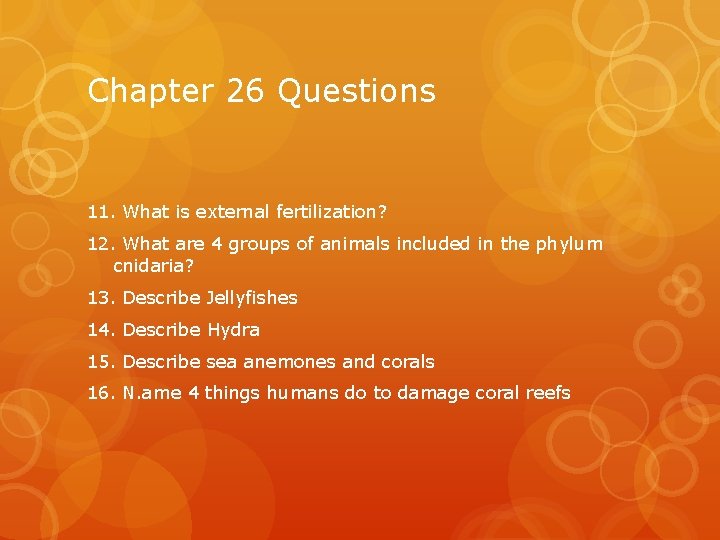 Chapter 26 Questions 11. What is external fertilization? 12. What are 4 groups of