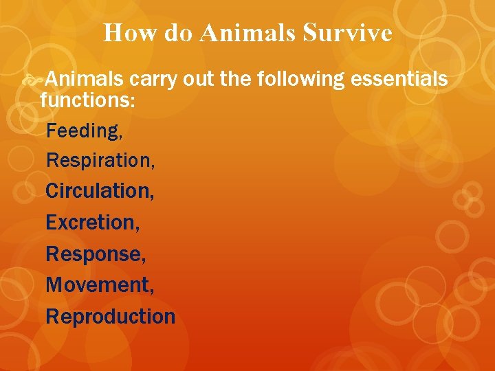 How do Animals Survive Animals carry out the following essentials functions: Feeding, Respiration, Circulation,