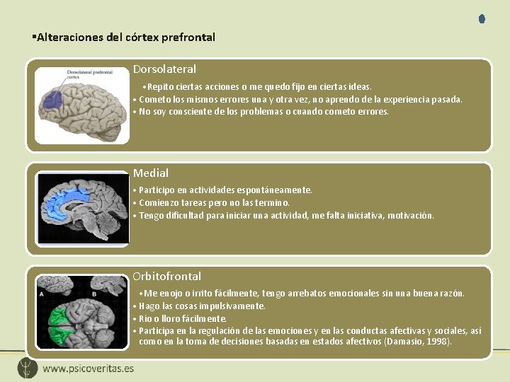 §Alteraciones del córtex prefrontal Dorsolateral • Repito ciertas acciones o me quedo fijo en