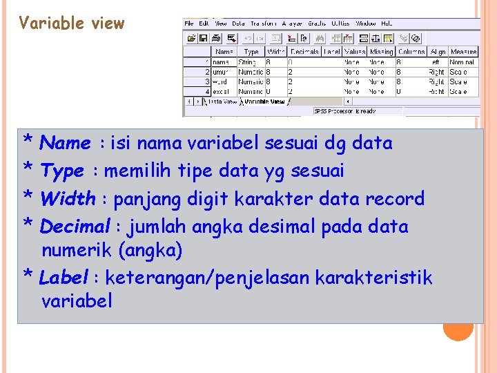Variable view * Name : isi nama variabel sesuai dg data * Type :