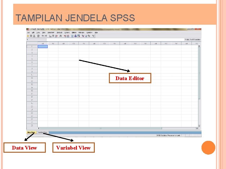 TAMPILAN JENDELA SPSS Data Editor Data View Variabel View 