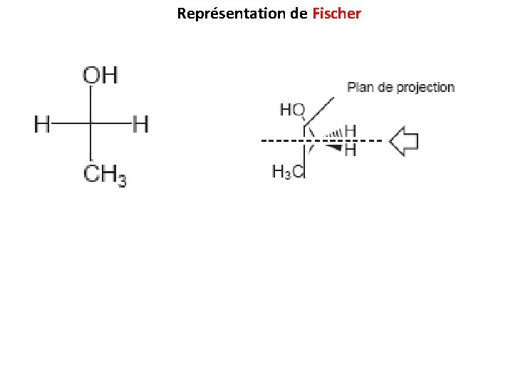 Représentation de Fischer Représentation de Fischer