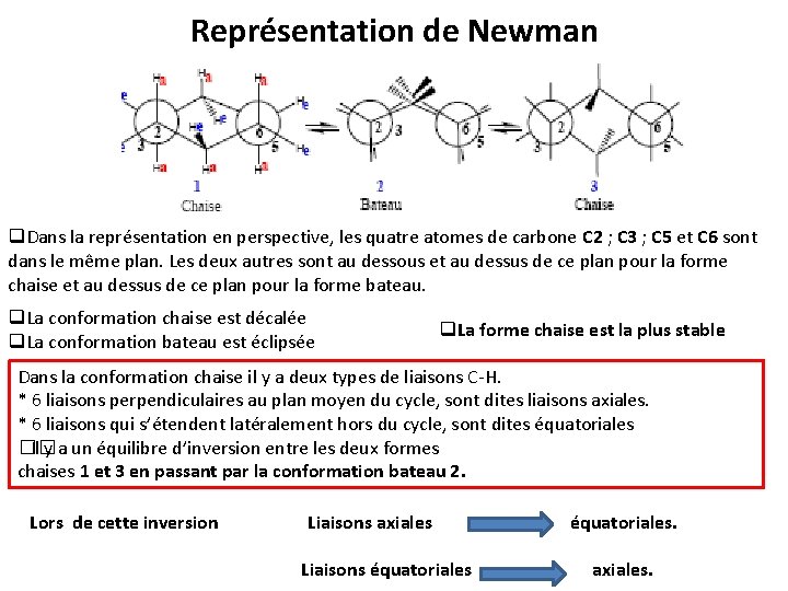 Représentation de Newman q. Dans la représentation en perspective, les quatre atomes de carbone Représentation de Newman q. Dans la représentation en perspective, les quatre atomes de carbone