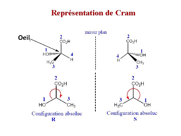 Représentation de Cram Oeil Représentation de Cram Oeil