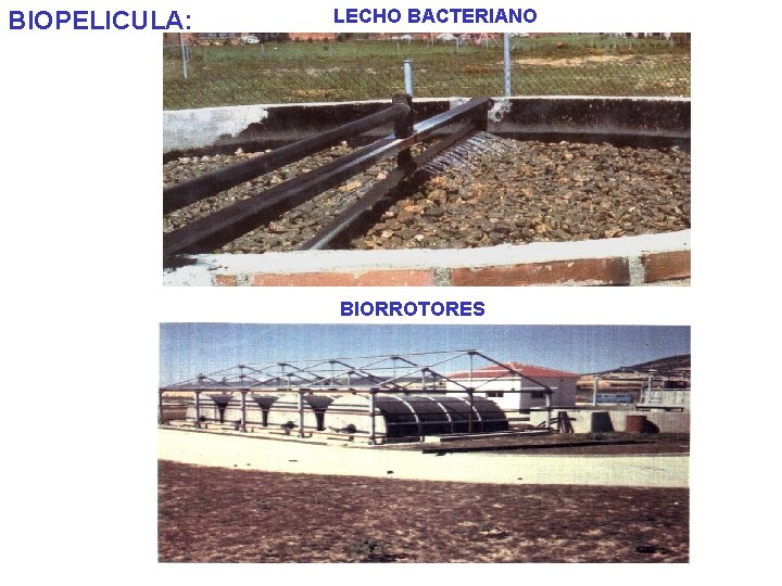 BIOPELICULA: LECHO BACTERIANO BIORROTORES 