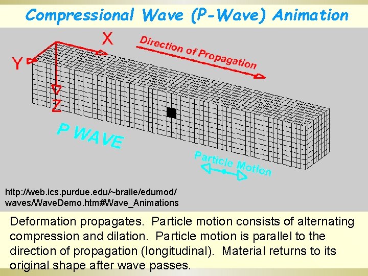 Compressional Wave (P-Wave) Animation http: //web. ics. purdue. edu/~braile/edumod/ waves/Wave. Demo. htm#Wave_Animations Deformation propagates. Compressional Wave (P-Wave) Animation http: //web. ics. purdue. edu/~braile/edumod/ waves/Wave. Demo. htm#Wave_Animations Deformation propagates.